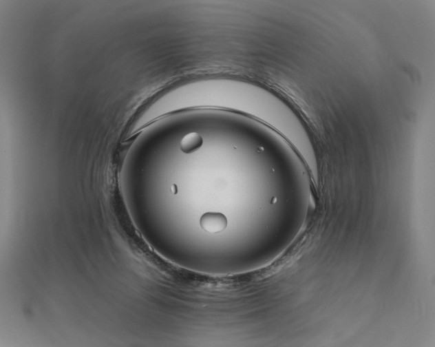 X0000112470164200908171206