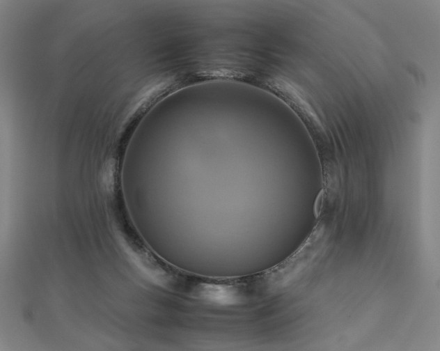 X0000112470167200908171206