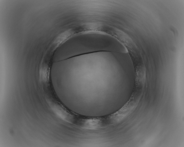 X0000112470168200908171206