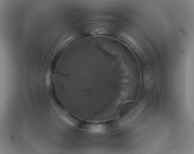 X0000112470169200908171206