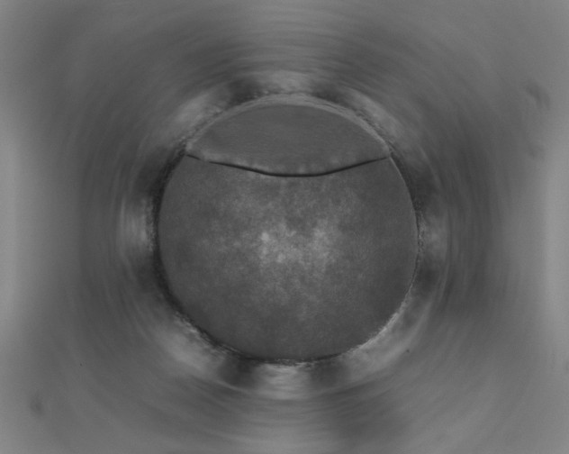 X0000112470170200908171206