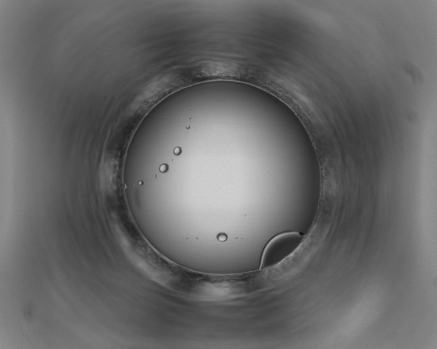 X0000112470171200908171206