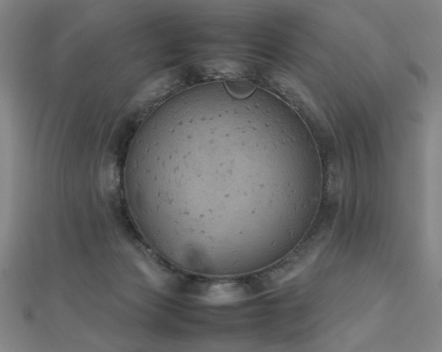 X0000112470173200908171206