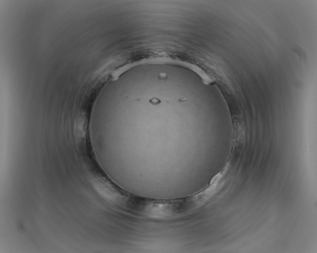 X0000112470174200908171206