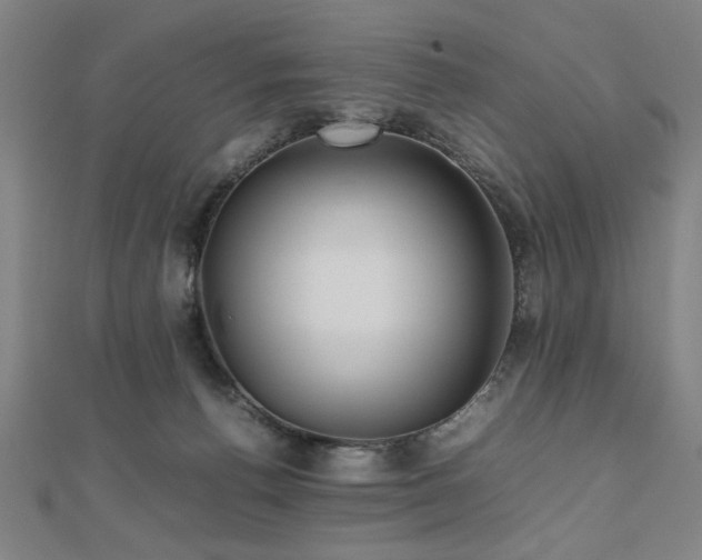 X0000112470176200908171206