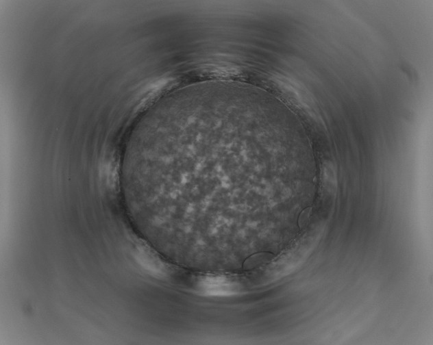 X0000112470177200908171206