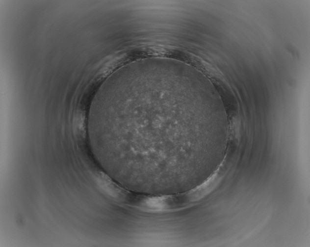 X0000112470178200908171206