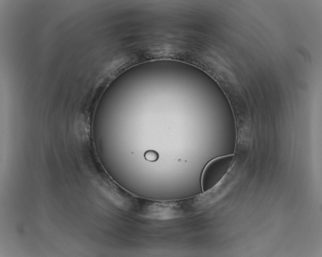 X0000112470179200908171206