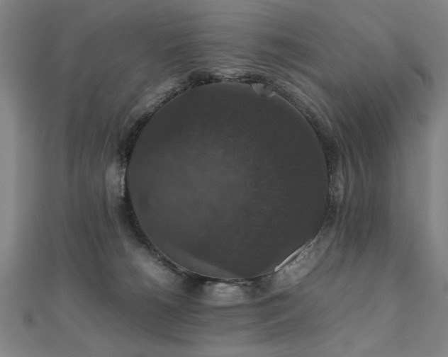 X0000112470180200908171206