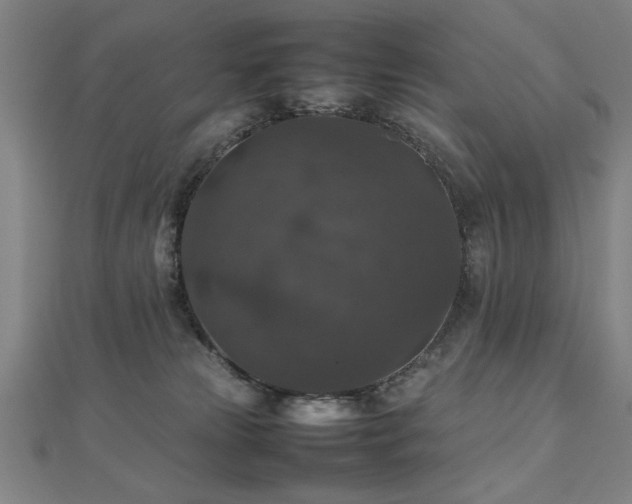 X0000112470181200908171206