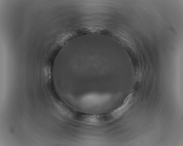 X0000112470182200908171206