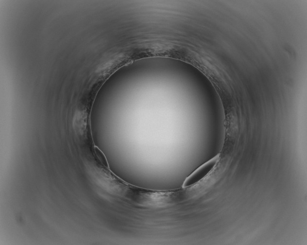 X0000112470184200908171206