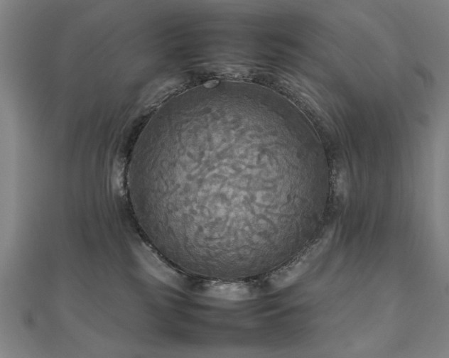 X0000112470185200908171206