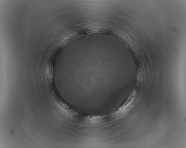 X0000112470186200908171206