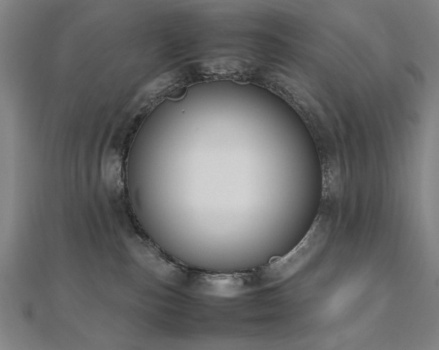 X0000112470187200908171206