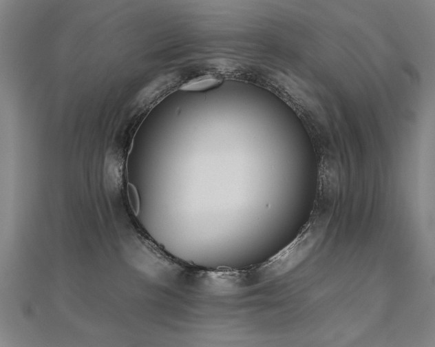 X0000112470188200908171206