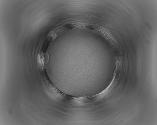 X0000112470190200908171206