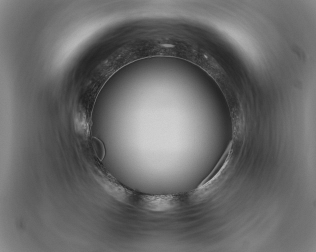 X0000112470191200908171206