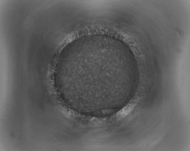 X0000112470192200908171206