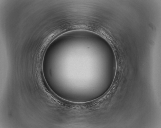 X0000112470193200908171206