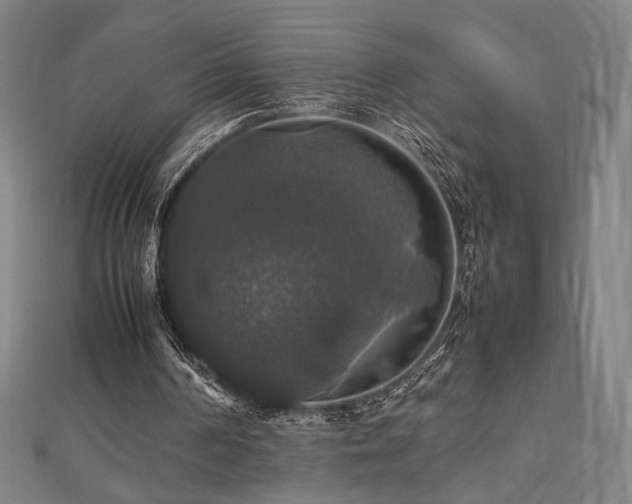 X0000112470194200908171206