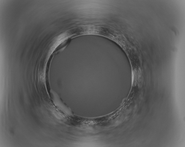 X0000112470195200908171206