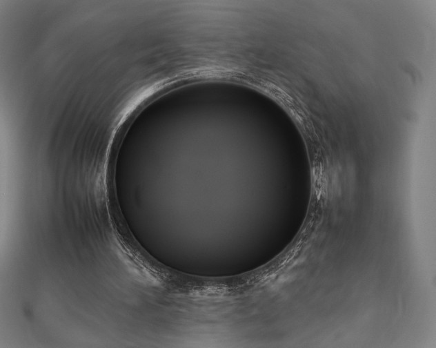 X0000112470196200908171206