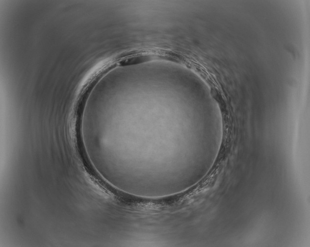 X0000112470197200908171206