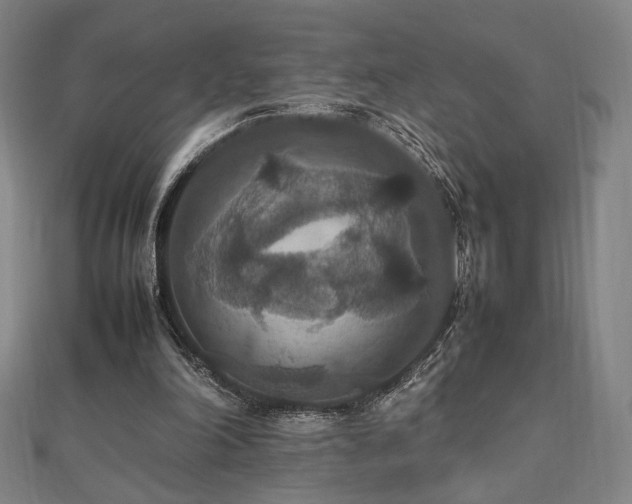 X0000112470198200908171206