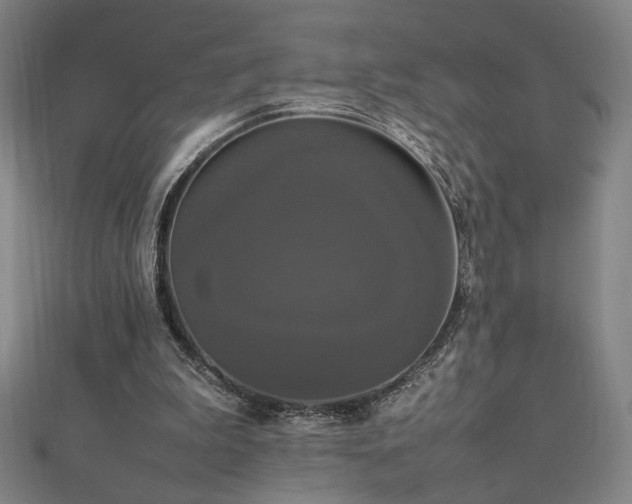 X0000112470199200908171206