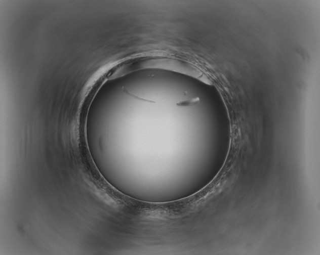 X0000112470200200908171206