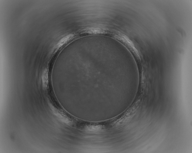 X0000112470202200908171206