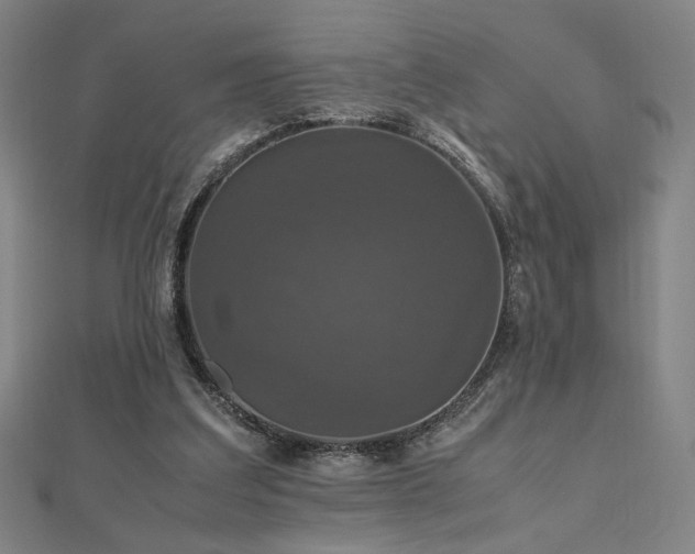 X0000112470203200908171206