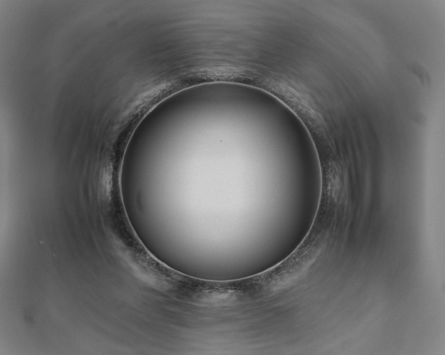 X0000112470206200908171206