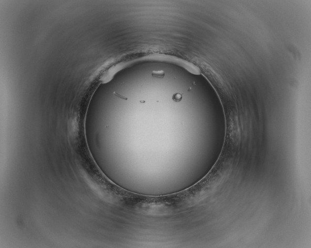 X0000112470208200908171205