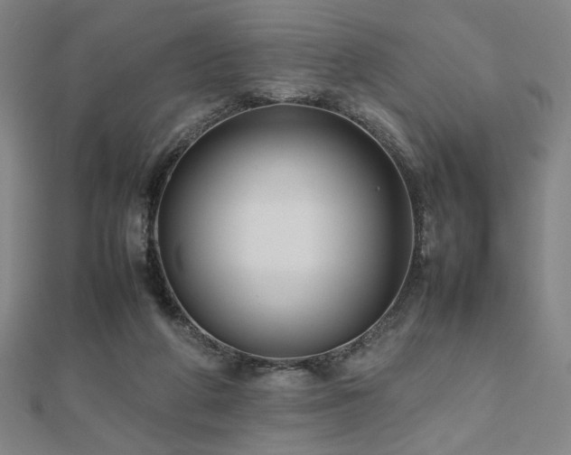 X0000112470210200908171205