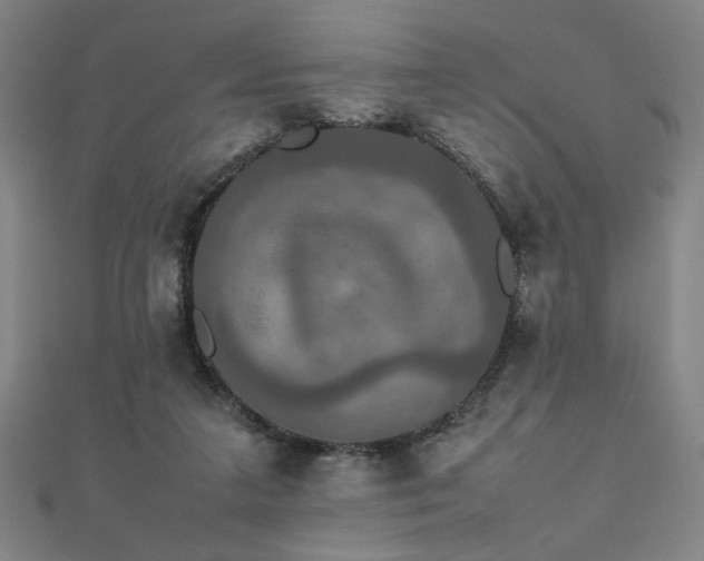 X0000112470211200908171205