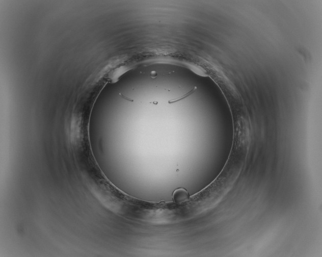 X0000112470212200908171205