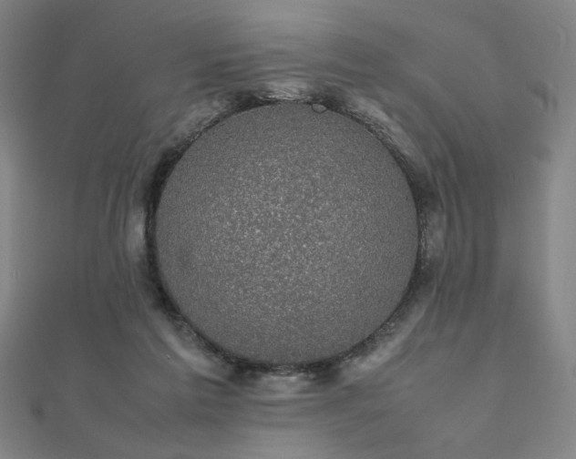 X0000112470213200908171205