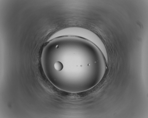 X0000112470215200908171205