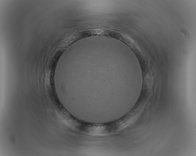 X0000112470217200908171205