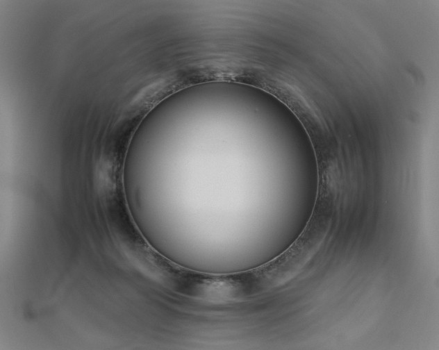 X0000112470218200908171205