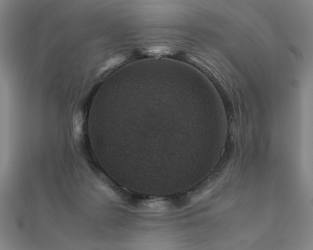 X0000112470219200908171205