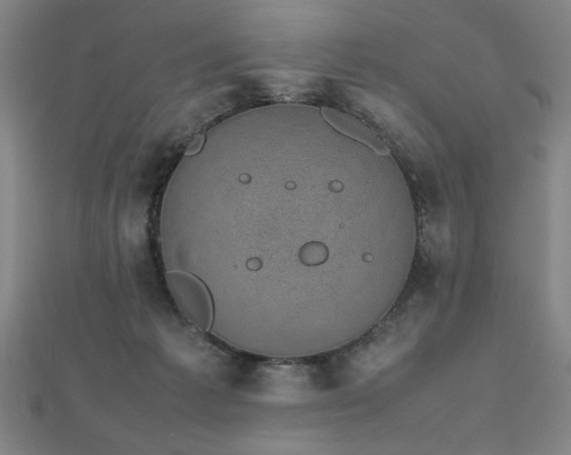 X0000112470221200908171205