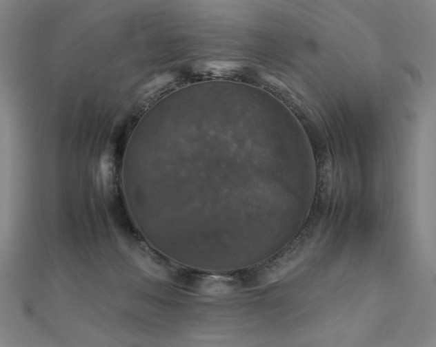 X0000112470222200908171205