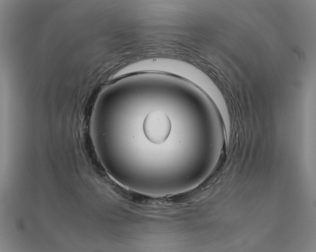 X0000112470223200908171205