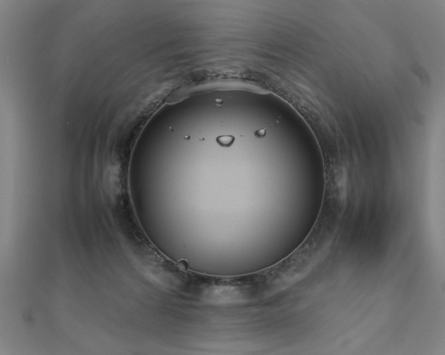 X0000112470224200908171205