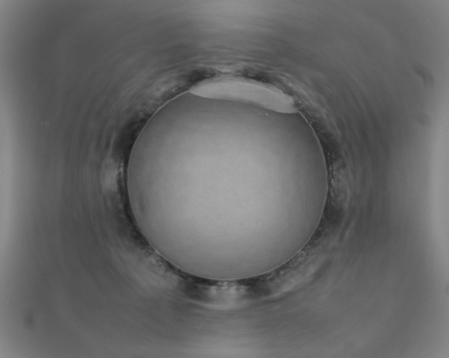 X0000112470225200908171205