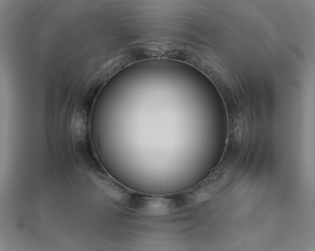 X0000112470226200908171205