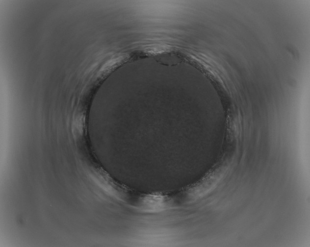 X0000112470227200908171205